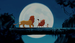 selinaskyle:  Being brave doesn’t mean you go looking for trouble.