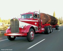 vehicles36:  1952 Kenworth 