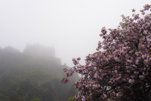 Edinburgh Castle, lost in the Haar