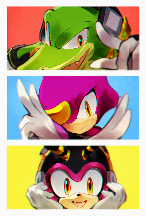 team chaotix