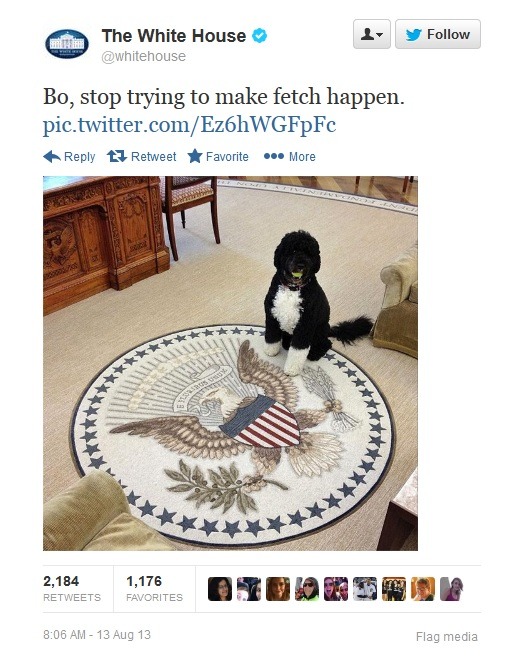 joehumphrey:  entertainmentweekly:  Oh my God, Karen, you can’t just ask dogs why