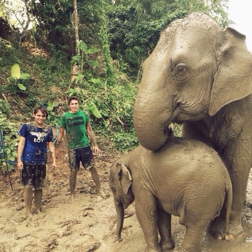 #regram #Thailand #ChiangMai #elephantretirementpark