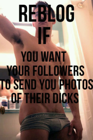 secrettoiletslut4u:ohhdannyboy88:Send ‘em.. NOW DAMMIT!Great ideaYes Please!!!!