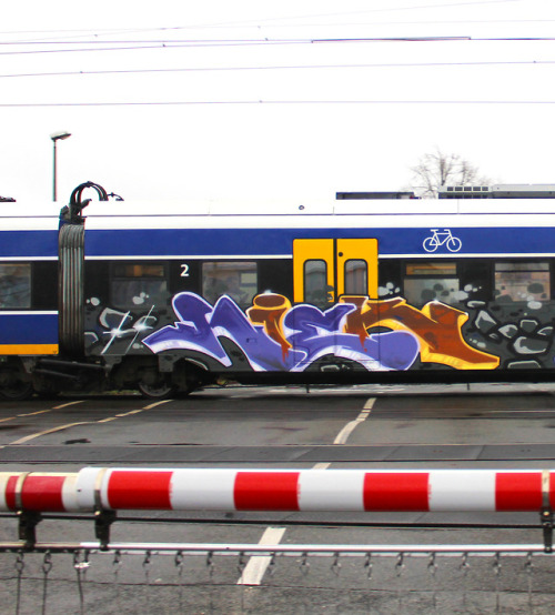 bigchillblog:NIEK