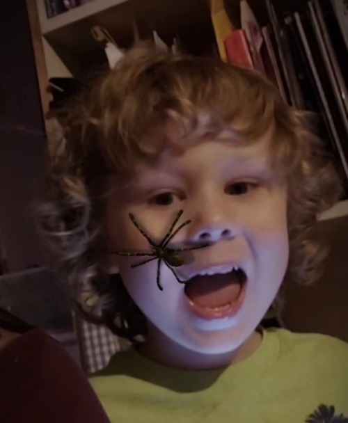 I Tried That Spider Filter On My Godson And He Did This Then Tried To Smack Himself....