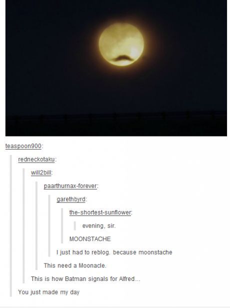 I love Tumblr&hellip;