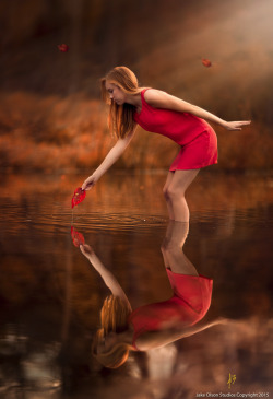 imickeyd:  Autumn’s Gathering - Jake Olson