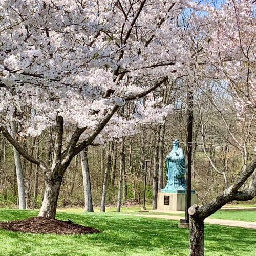 Confucius in the Midst of a Most Unsettling Early Spring, George Mason “University,” Fairfax, March 