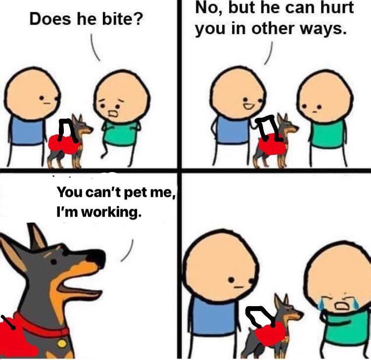 doggos-with-jobs:  All us handlers get to give them those sweet pets tho