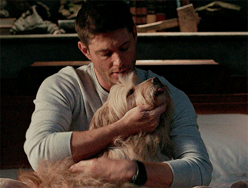 mishacollinss:Soft Deanrequested by @monunge​