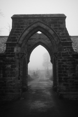 dansemacabre-:  Foggy Morning 7 by Olivier