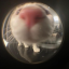 chantillypeach