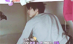 jungdeul:  sleepydeul 