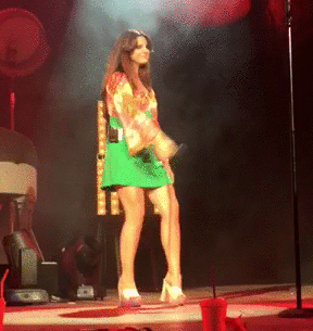 lanadelwestcoast:  May 28, 2015 Lana Del Rey at Klipsch Music Center, Noblesville IN