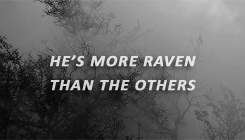 veronicalodgie:The Raven Boys - [¼] - Ronan Lynch “Ronan Lynch lived with every sort of secret. His 