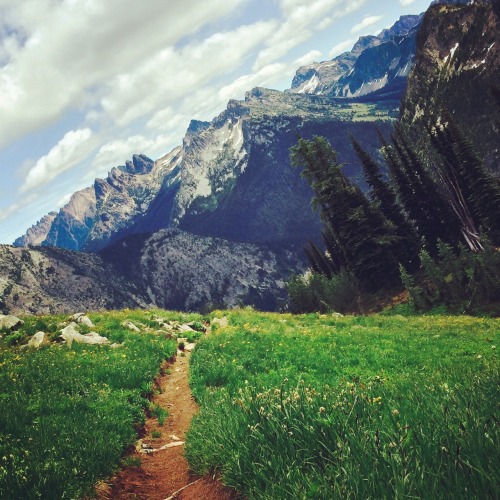 banjosandbogs:  Summer Trails from the West. 