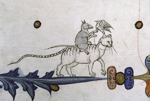 Ladyhawke or rat falconer Pontifical of Guillaume Durand, Avignon, before 1390.Paris, Bibliothèque S