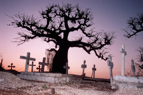 unrar:Fadiouth, Senegal, 1988. Baobab trees over the Catholic cemetery,  A. Abbas.