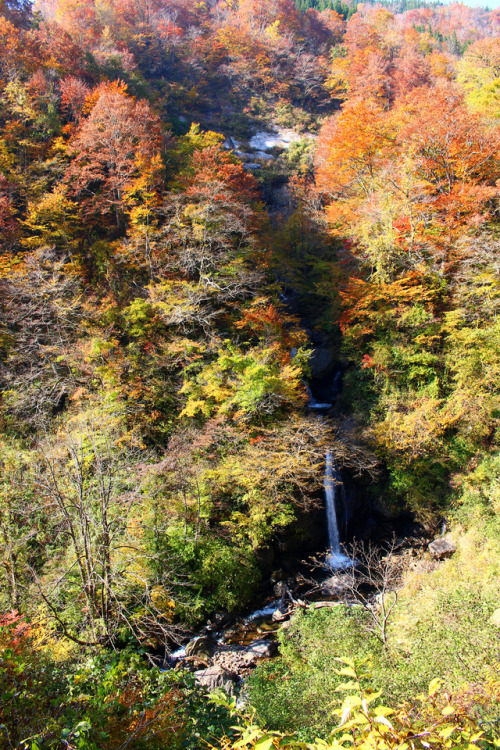20171105（日,sun）サコサガ滝（Sakosaga waterfall）