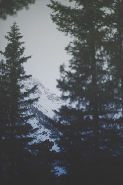 vhaelenleycrest:  Blood in the Snow…   DISLIKE!  *squints*  Best not be dying
