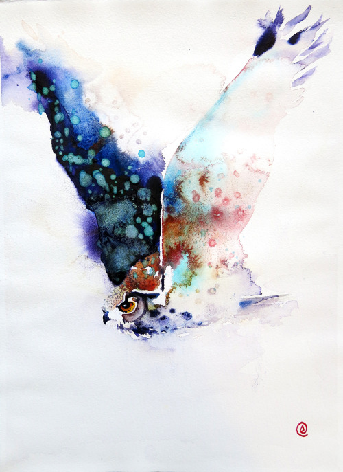 moon83:  Daniel Lutherdanielluther.se // Behance  Awesome.  Beauty. Talent.