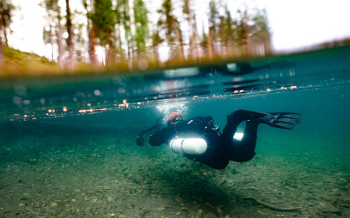 Underwater freshwater photography from Finland. Shot in several lakes around northern Finland. 2018-