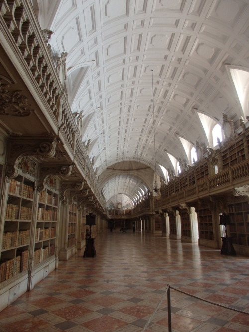 flowindia:Library at Mafra National Palace, 2016