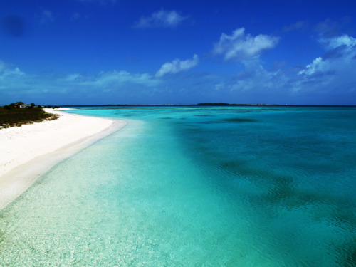 tedebounorgasmo:  Todo el mundo trata de realizar algo grande, sin darse cuenta de que la vida se compone de cosas pequeñas. Frank A. Clark.   Lugares que visitar antes de morir: Los Roques, Venezuela.    