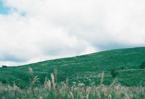 -秋吉台。 妊娠7ヶ月の頃。 もうあまり遠出は出来ないと思って、県内の少しお高いお宿に一泊。しっかり贅沢させてもらいました。 翌日、秋っぽい写真が撮りたくて、ここに寄ってもらいました。 まさかこれが、