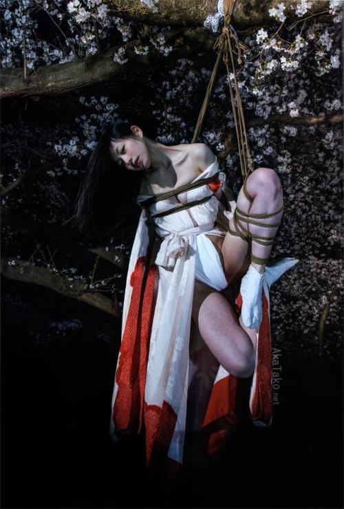 WAYOU KINBAKU MIYABI by Hajime Kinoko focuses on traditional, elegant kinbaku. Natural ropes, refine