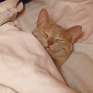 latterlig:  everyone else: succeeding, thriving, going places   me:  