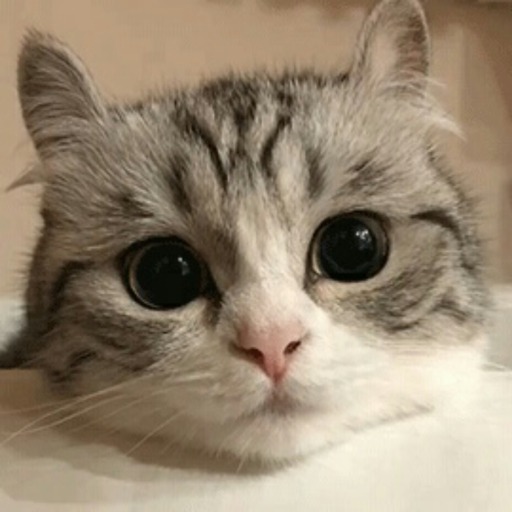 üzümlü kek on Tumblr