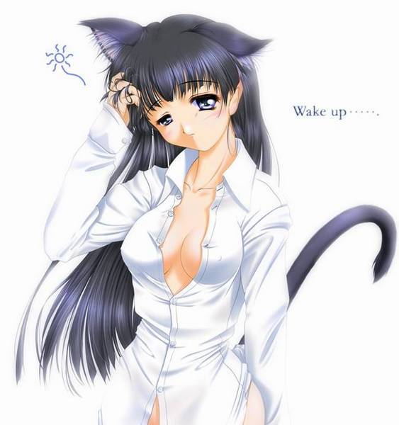 hentai-spress:  Hentai-Spress 