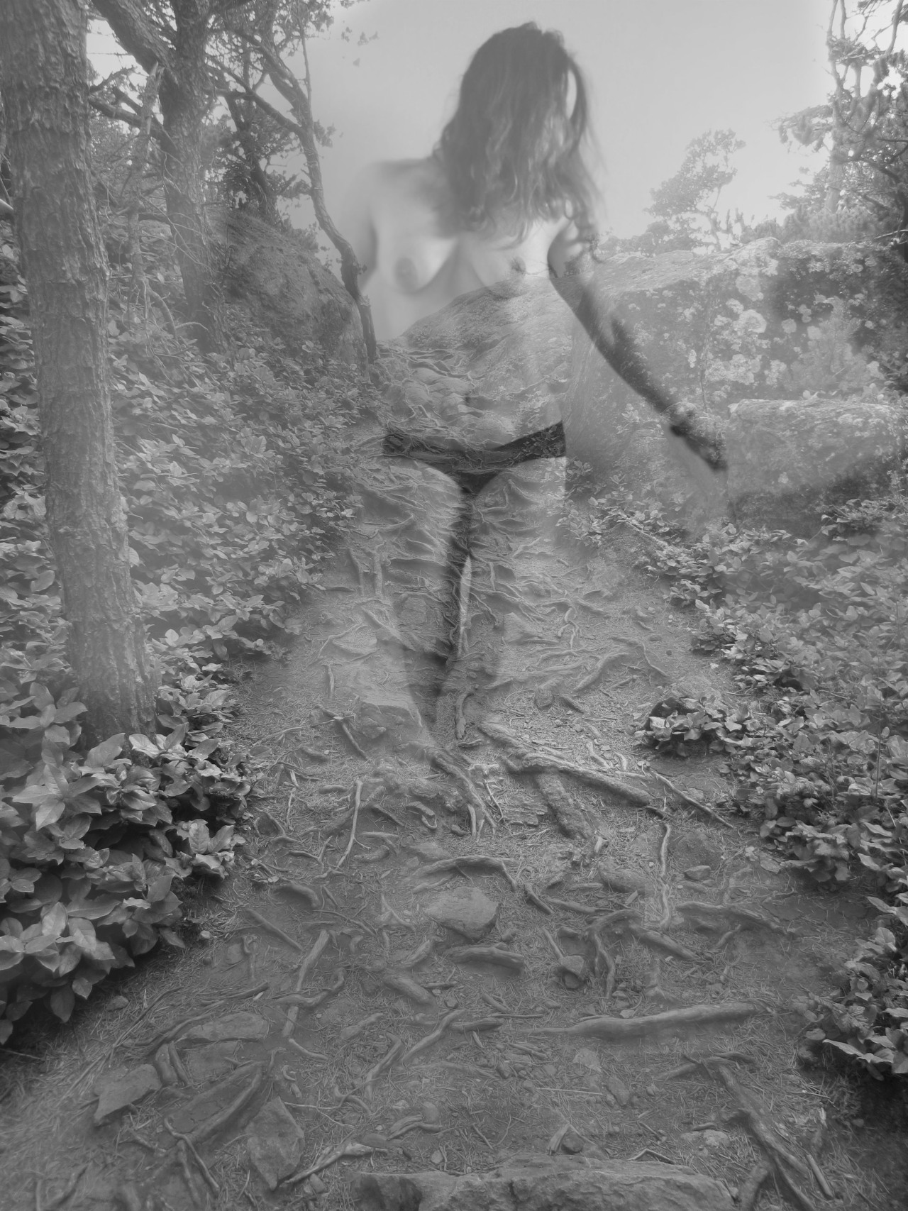 mypleasurealways:  Got inspired by NN this past week…..had to play around…..