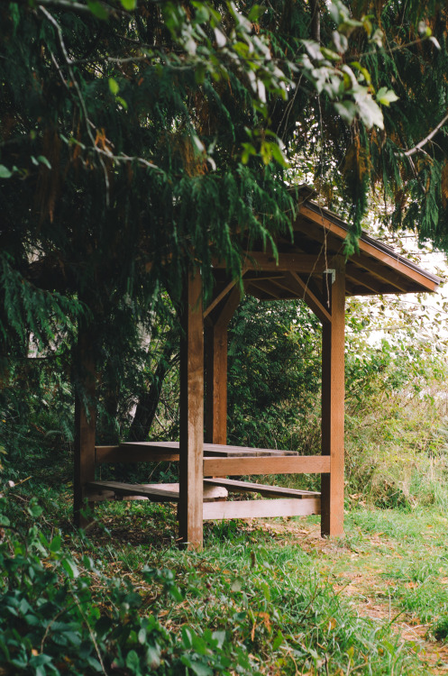 I’ve always wanted to picnic here