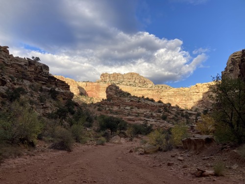 Alone in Grand Wash, Capitol Reef National Park, Utah. 8 October 2020.