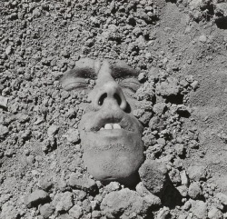 desjolieschoses:  David Wojnarowicz, Untitled