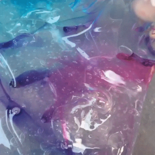princeslime:(source)