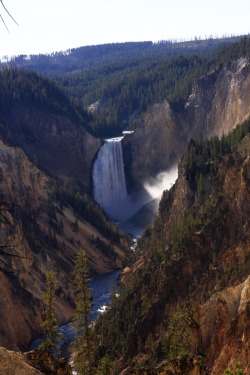 theencompassingworld:  lvndscpe:    Color Landscape - Yellowstone | by Fortherock  The World Around Us