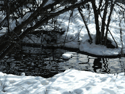 https://64.media.tumblr.com/c051ad843401e107739f11ba1bb69abd/tumblr_msxaks4b491sc50pho1_r3_500.gif
