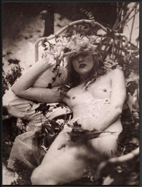 housebanshee:  Paulina Otylie Surys 