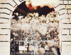 thingssheloves:  tunnel de fleur by stephanie