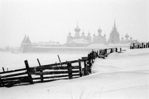 picturesque-russia:Сергей Веретенников. Забор. Из серии «Соловецкие этюды»