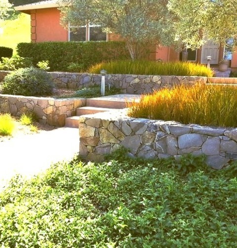 Contemporary Landscape In San Francisco