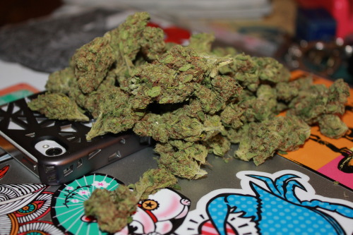 Potterest