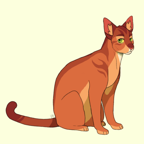 Firestar in his later years.