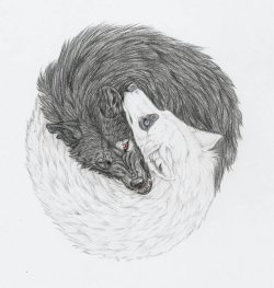 1000drawings:  Yin and Yang Wolves   