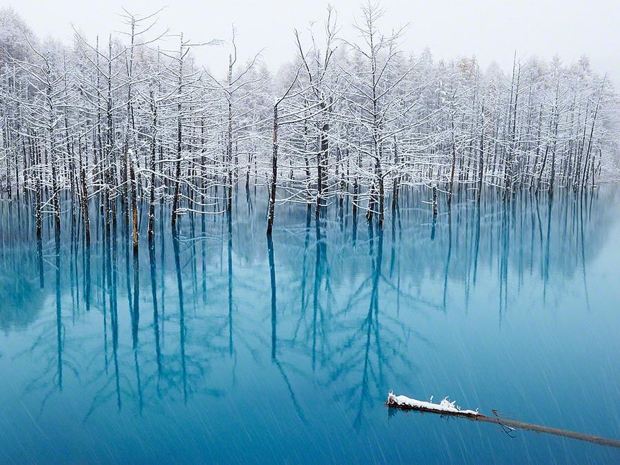 thekhooll:  50 Shades of Blue By Kent Shiraishi 
