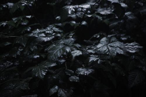 noteddeath.tumblr.com/post/132388613554/