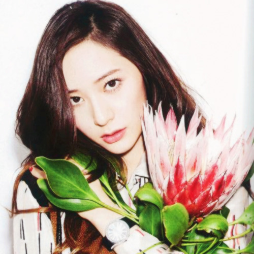 Krystal Icons.